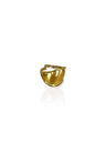 Anillo de banda dorada