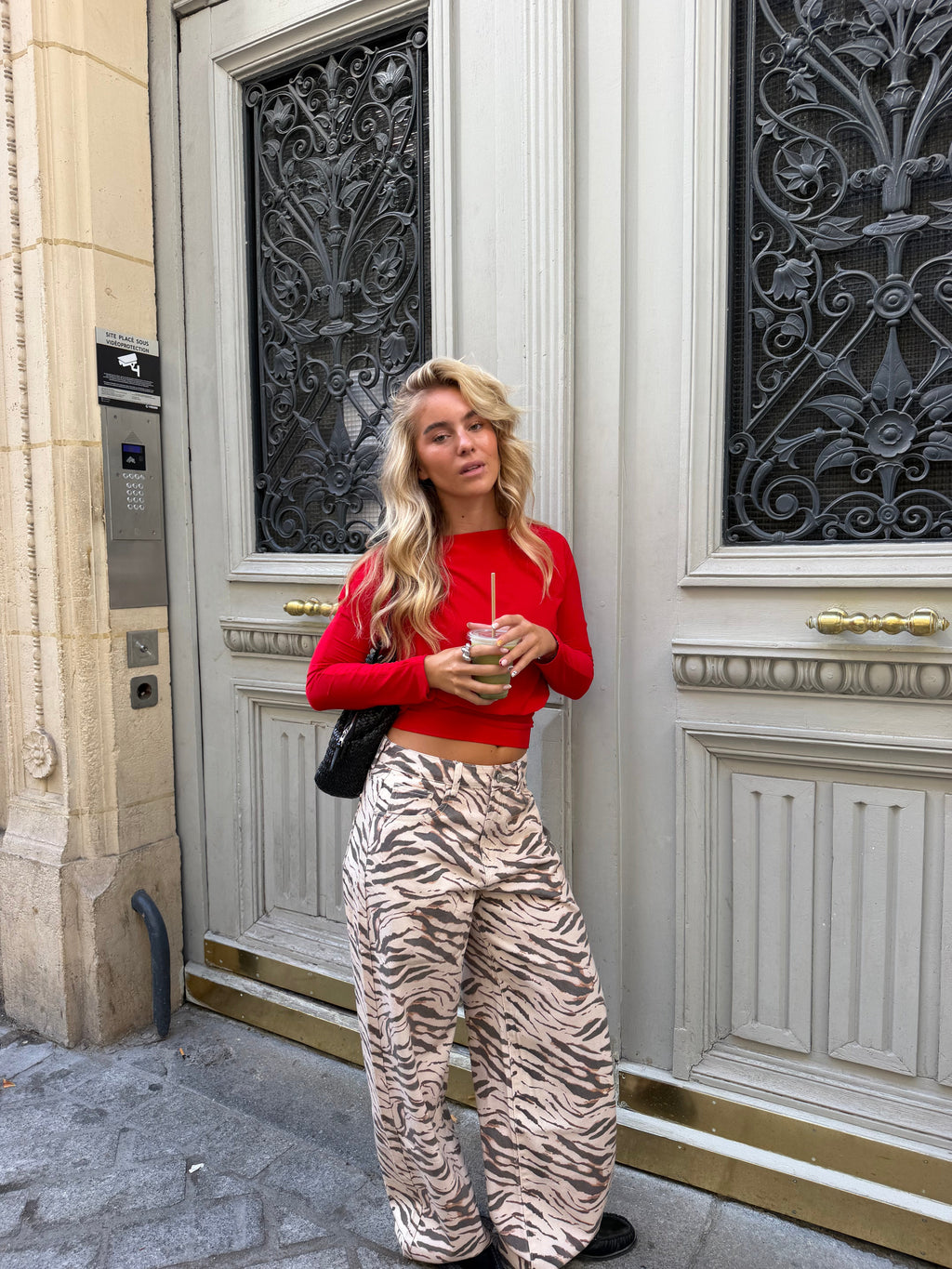 Calças Jeans com Estampa de Zebra